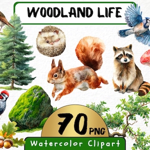 Imágenes prediseñadas de vida en el bosque (70 imágenes PNG), ilustración de animales del bosque en acuarela, arte de zorros, familia de ciervos adorables, árboles, descarga instantánea, uso comercial