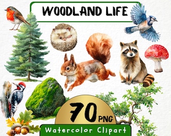 Imágenes prediseñadas de animales del bosque en acuarela, ilustración forestal (70 PNG) para uso comercial