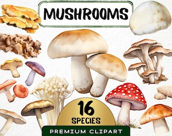 May include: A collection of 16 different types of mushrooms, illustrated in watercolor style. The mushrooms are arranged in a variety of sizes and shapes, with some featuring vibrant colors like red and purple. The image includes the text "Mushrooms" and "16 Species Premium Clipart".
