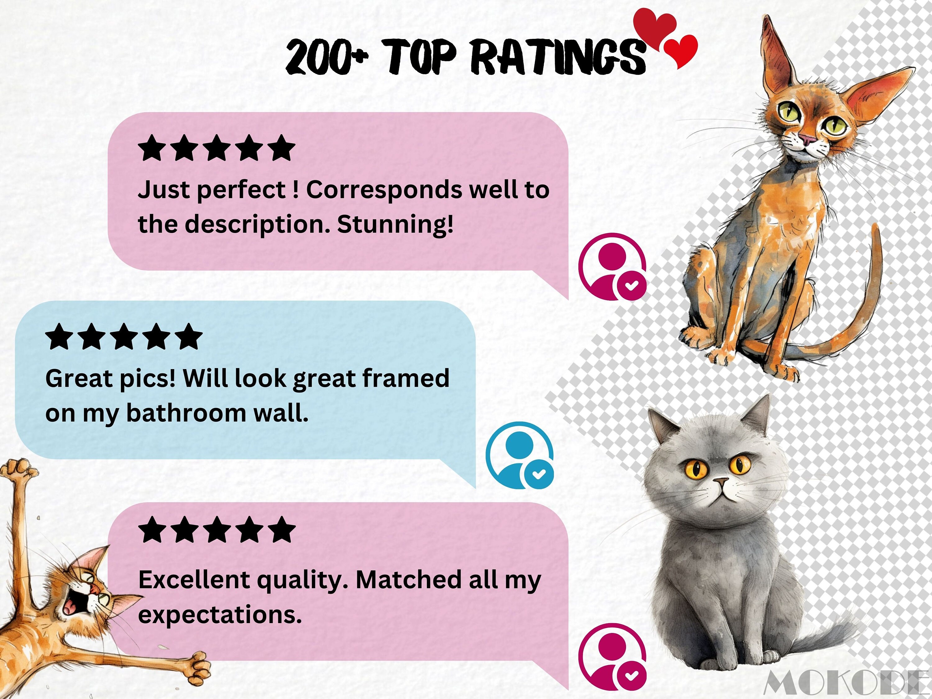 Funny Cat Breeds Watercolor Clipart, 62 PNG Caricature Kittens (digital ...