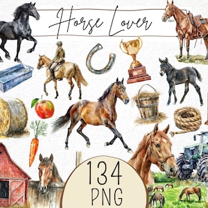 Clipart amateur de chevaux 134 png, aquarelle de ferme équestre, illustration de cheval mignon, fille de cheval, équipement d'équitation, casque d'équitation Png, téléchargement numérique