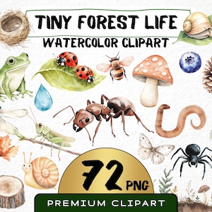 Mignon petite forêt vie des cliparts 72 Png, aquarelle Mini pépinière d'insectes, téléchargement numérique, coccinelle, petites fourmis png, usage commercial