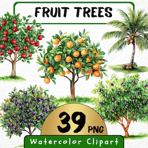 Obstbäume Clipart 39 Png, Aquarell Sommer Obst Garten, selbst angebauter Apfelbaum, Sofort Download, Scrapbook, digitale Kunst kommerzielle Nutzung