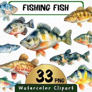 Watercolor Fishing Fish Clipart 33 Png, Marine Life, Freshwater Fish Illustration, Fishing Hobby, Printable Digital File Educational Clipart