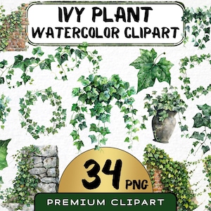 Hiedra trepadora (34 imágenes PNG), planta colgante, impresiones digitales de naturaleza, descarga instantánea, uso comercial