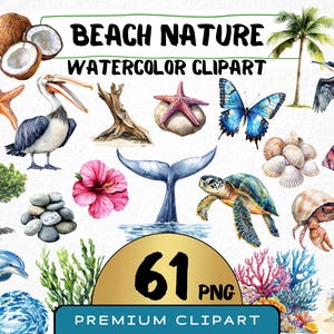 Clipart de naturaleza de playa de acuarela 61 PNG, océano tropical, verano PNG, impresiones digitales de vida marina, uso comercial, creación de tarjetas, descarga instantánea
