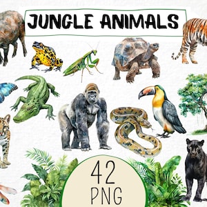 Aquarel jungle dieren clipart 42 png, tropische junglegorilla, tijger, toekan, slang, schattige aap illustratie, commercieel gebruik, kinderkamer