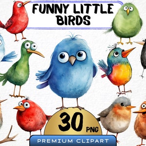 Funny Little Birds Clipart 30 Png, Cute Caricature Birds, Quirky Bird Watercolor, Cartoon Parrot, Baby Chick Png, Digital Print Scrapbooking