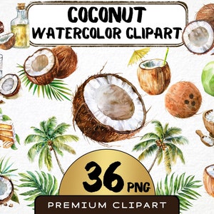 Coco en acuarela (36 imágenes PNG), coco rallado, palmera, leche de coco, fruta tropical, álbum de recortes, impresiones digitales, uso comercial