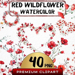 Clipart de flores silvestres vermelhas aquarela 40 png, flor de dia dos namorados, buquê floral, primavera png, pacote de clipart, quadro PNG para baixar, arte digital