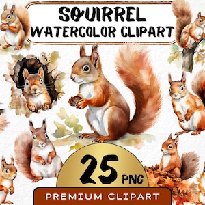 Aquarel eekhoorn clipart 25 png, bosdier, herfst eekhoorn kunst, schattige bos illustratie, afdrukbaar digitaal bestand, uitnodigingskaart