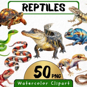 Watercolor Reptiles Clipart 50 Png, Desert Snake, Lizard Animal illustration, Zoo Jungle Chameleon, Commercial Use, Wild Animals