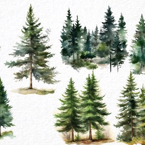 May include: Watercolor painting of various pine trees in different sizes and arrangements. The trees are painted in shades of green and brown, with some white highlights. The trees are set against a white background.