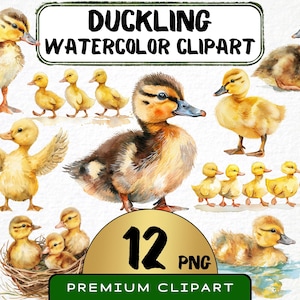 Clipart caneton aquarelle 12 Png, Illustration de bébé canard, fichier numérique imprimable, fabrication de cartes d'invitation, téléchargement immédiat, usage commercial
