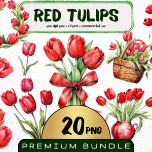 Red Tulip Clipart, Set of 20, Watercolor Tulip Png, Botanical Designs, Red Flower png, Floral Clip Art Bundle, Invitation, Digital Download