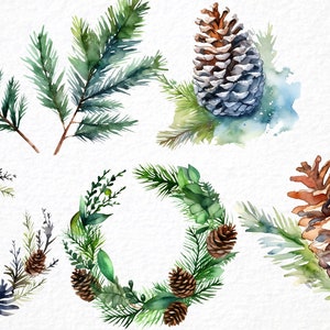 May include: Watercolor illustrations of pine cones and branches. The illustrations are in shades of green, brown, and blue. There are two wreaths, one with pine cones and the other with pine cones and leaves.