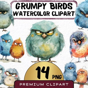 Grumpy Birds Clipart 14 Png, Cute Caricature Birds, Funny Animal Watercolor, Angry Songbird Png, Digital Print Scrapbooking, Card Making