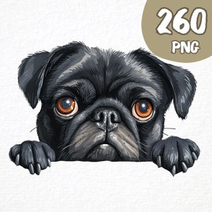 Peeking Dog Breed Clipart Bundle, Set von 260, Aquarell Hund png, Hunde Portrait, süße Hunde Gesicht Illustration, transparente png, digitale Kunst