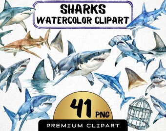 Watercolor Sharks Clipart, Marine Ocean Illustration (41 PNG) Digital File