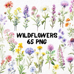 Wildflower Clipart 65 Png, Ilustrações de flores de primavera em aquarela, Download instantâneo, Arte digital floral, Criação de cartões, Uso comercial gratuito