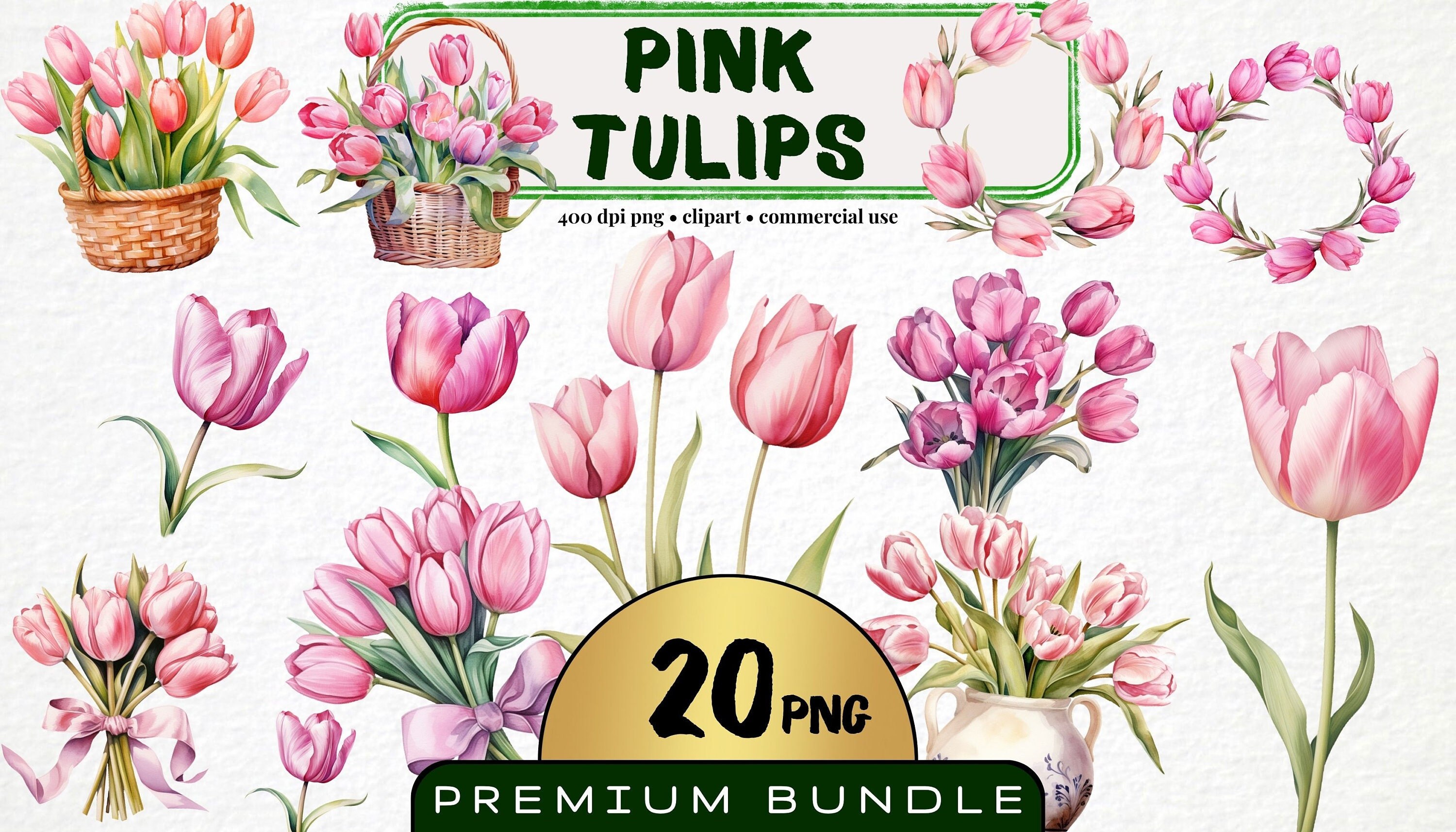 Pink Tulip Watercolor Clipart, Floral PNG Bundle (digital Download) - Etsy