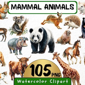 Aquarell Säugetiere Clipart 105 Png, Zoo-Tiere, Lehrreiche Afrika Wildtiere, Haustiere, Waldtiere Kommerzielle Nutzung, Elefant Kunst
