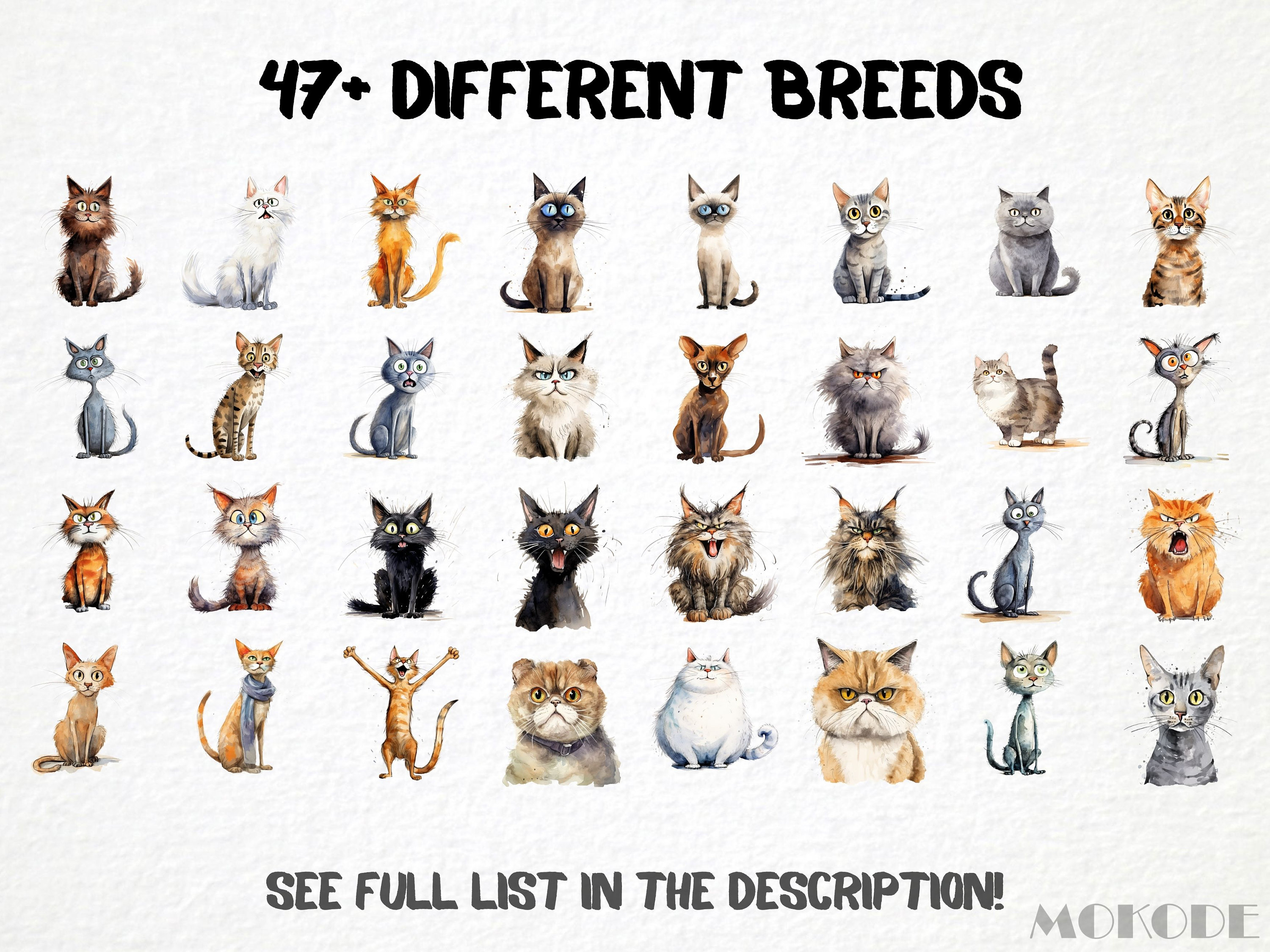 Funny Cat Breeds Watercolor Clipart, 62 PNG Caricature Kittens (digital ...