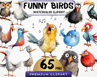 Funny Little Birds Clipart 65 Png, Cute Caricature Birds, Quirky Owl Watercolor, Cartoon Parrot, Baby Chick Png, Digital Print Scrapbooking