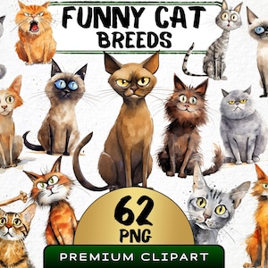 Grappige kattenrassen clipart 62 png, schattig karikatuur huisdier, eigenzinnige kittens aquarel, Grumpy Kitty cartoon dier, digitale download prints