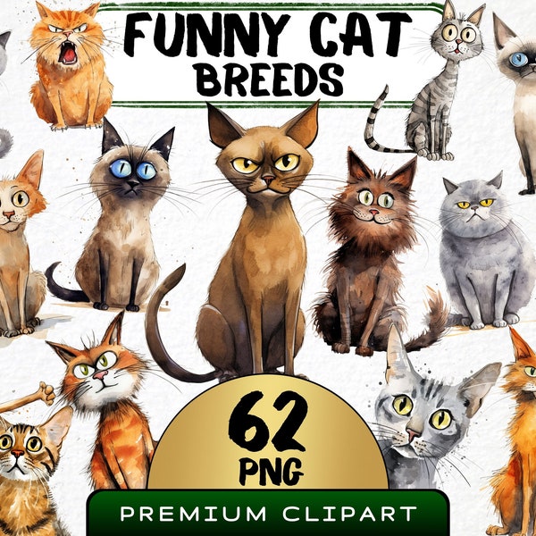 Funny Cat Breeds Clipart 62 Png, Cute Caricature pet, Quirky Kittens Watercolor, Grumpy Kitty Cartoon Animal, Digital Download Prints