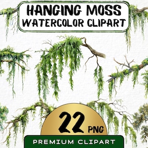 Aquarel hangende mos clipart 22 png, Spaans mos graphics, begroeide tak kunst, crafting digitale prints, kaarten maken, Instant Download
