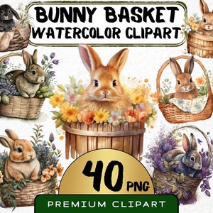 Conejito en cesta (40 imágenes PNG), conejo de acuarela en cubo, ilustración transparente para imprimir digitalmente, descarga instantánea, uso comercial