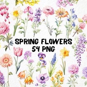 Clipart fleurs printanières 54 png, illustrations de fleurs sauvages aquarelles, téléchargement immédiat, art numérique floral, fabrication de cartes, usage commercial gratuit
