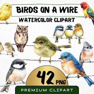 Clipart Oiseaux sur un fil de fer, 42 png, Illustration aquarelle d'oiseau mignon, oiseau chanteur sur une branche, Collection mésange bleue d'oiseaux forestiers, impressions numériques