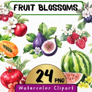Aquarelle fleurs fruitiers Clipart 24 Png, Illustration pomme, Collection de fleurs de fruits, téléchargement numérique instantané de baies d'été, fabrication de cartes