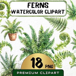 Aquarel varens clipart 18 png, bos varen planten graphics, varenblad, digitale prints, commercieel gebruik, kaarten maken, Instant Download