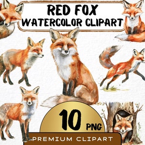 Clipart renard aquarelle 10 Png, Illustration Reynard, fichier numérique imprimable, fabrication de cartes d'invitation, téléchargement immédiat, usage commercial