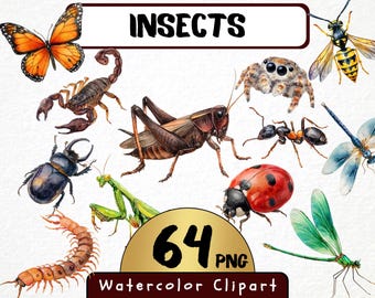 Insekten Aquarell Clipart, Käfer Illustrationen (64 PNG) (Instant Download)
