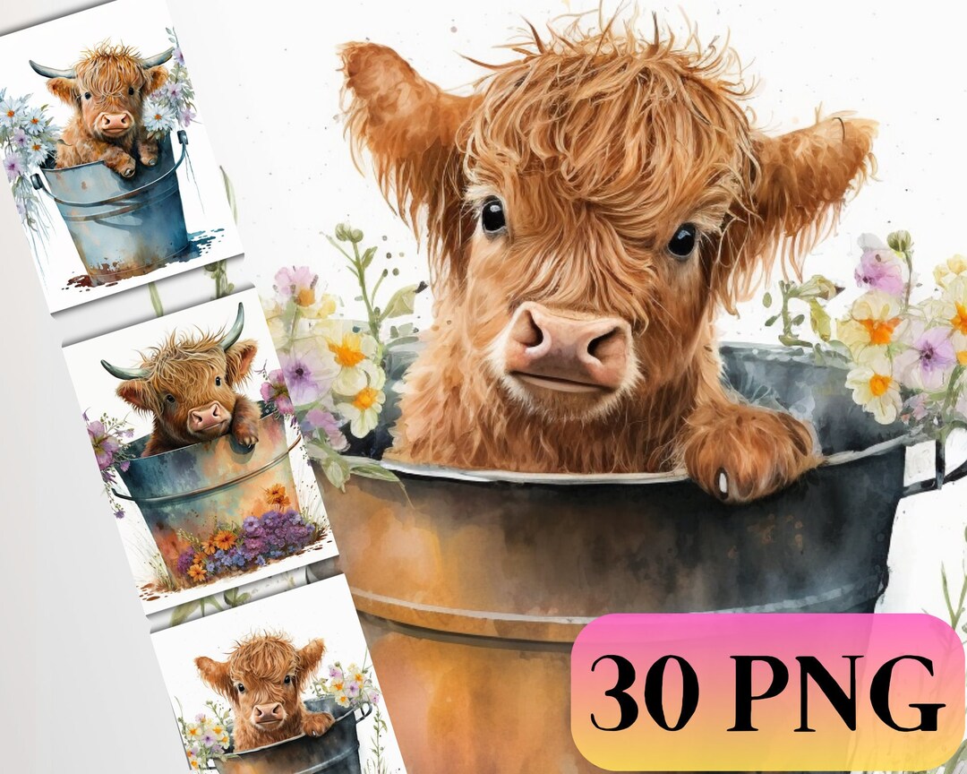 Watercolor Highland Cow Clipart: Cute Cow in Bucket, Farm Animal PNG ...