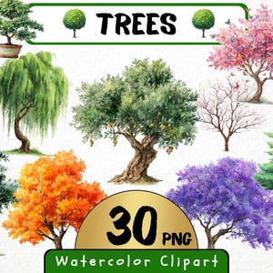 May include: Watercolor clipart featuring various tree illustrations. Includes a bonsai, weeping willow, olive tree, flowering cherry, bare tree, evergreen, birch, orange-leafed tree, and a purple-flowered tree. The text "TREES" and "30 PNG Watercolor Clipart" are also present.