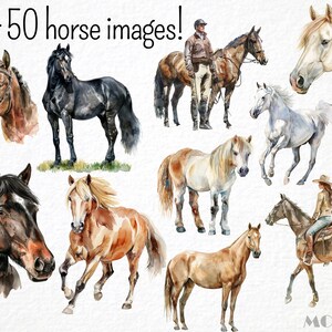 Horse Lover Clipart 134 Png, Horse Farm Watercolor, Cute Horse