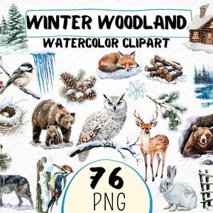 Clipart forêt hiver aquarelle 76 png, animaux de la forêt enneigés, renard hivernal, hibou, cerf, pomme de pin givrée, usage commercial, téléchargement