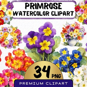 Primrose Flower Clipart 34 Png, Prímula aquarela, Flores coloridas da primavera, Cartão de casamento fazendo guirlanda, Download instantâneo, Arte digital