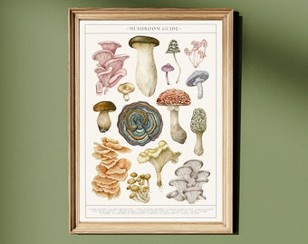 Botanical Mushrooms Watercolour Print, Foraged Fungi Wall Art, Culinary Mushroom Kitchen Poster, Vintage Toadstool Guide Illustration