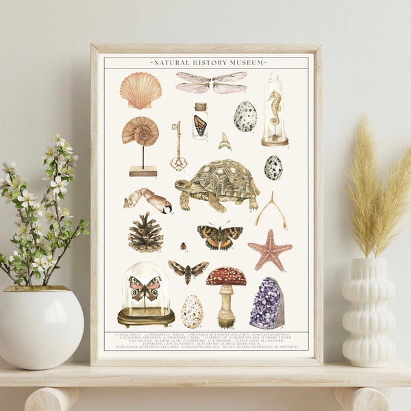 Natural History Museum Watercolour Print, Cabinet of Curiosities Oddities Wall Art, Entomology Scientific Illustration, Dark Academia Poster