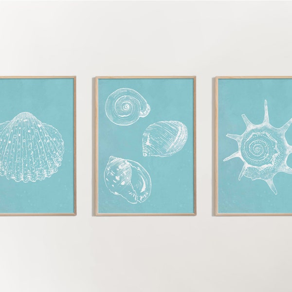 Turquoise Shell Art Etsy