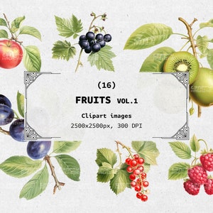 16 Clipart de frutas, ilustrações coloridas, download digital, PNG transparente, vol. 1