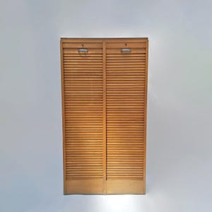 1930's Radia Double Tambour Cabinet Shelves
