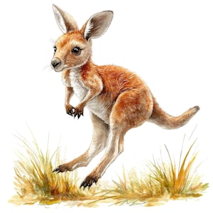 12 Baby Kangaroo Clipart, Watercolor Joey Kangaroo Art, Australian Animal Clipart, Digital Download, Paper Crafts, Wall Art, Junk Journals