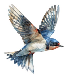12 cliparts d'hirondelle, clipart oiseau aquarelle, clipart aquarelle imprimable, créations en papier, art mural, téléchargement numérique, journaux indésirables
